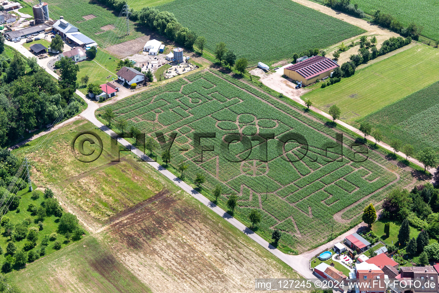 Aerial view of Corn maze & beach lounge Steinweiler Seehof in Steinweiler in the state Rhineland-Palatinate, Germany