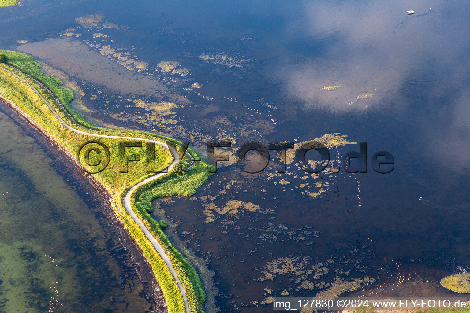 Aerial view of Water surface at the seaside in the Flensburger Foerde in Holnis in the state Schleswig-Holstein, Germany