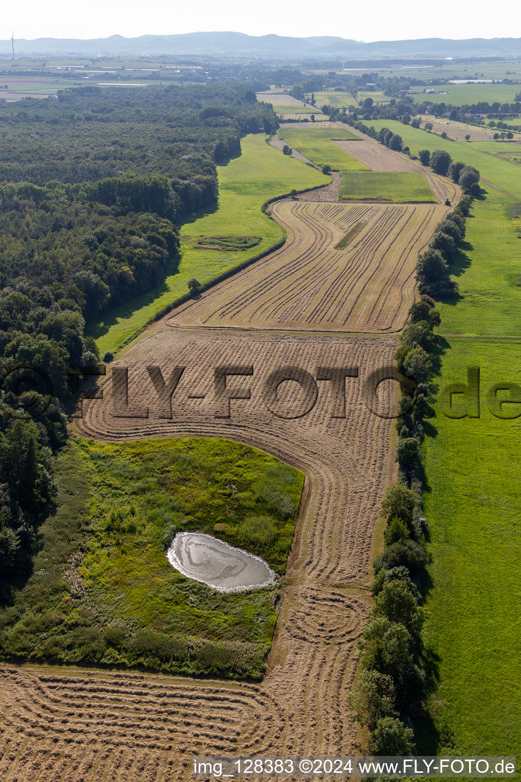 Flood ditch, Erlenbach in the district Minderslachen in Kandel in the state Rhineland-Palatinate, Germany