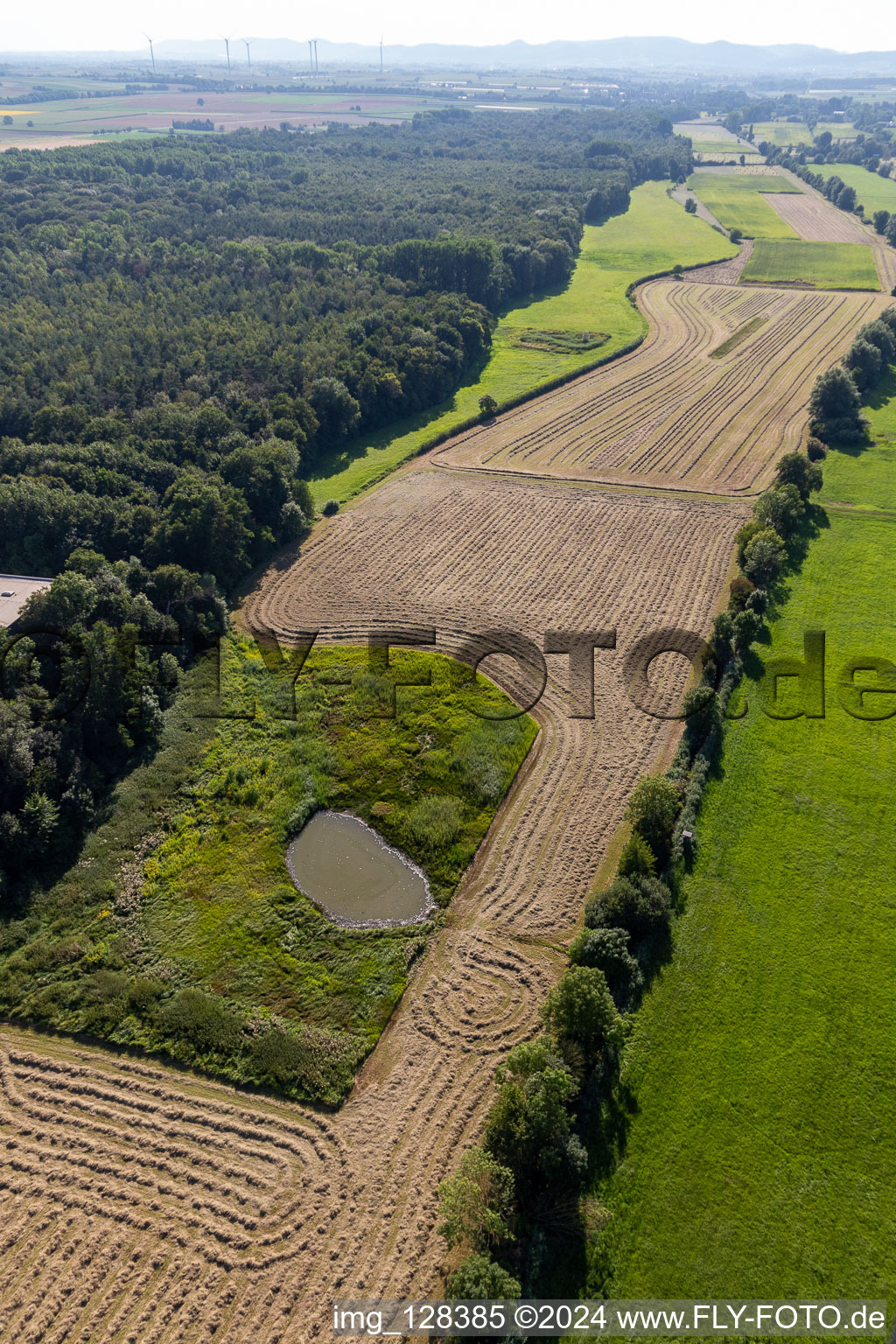 Flood ditch, Erlenbach in Steinweiler in the state Rhineland-Palatinate, Germany