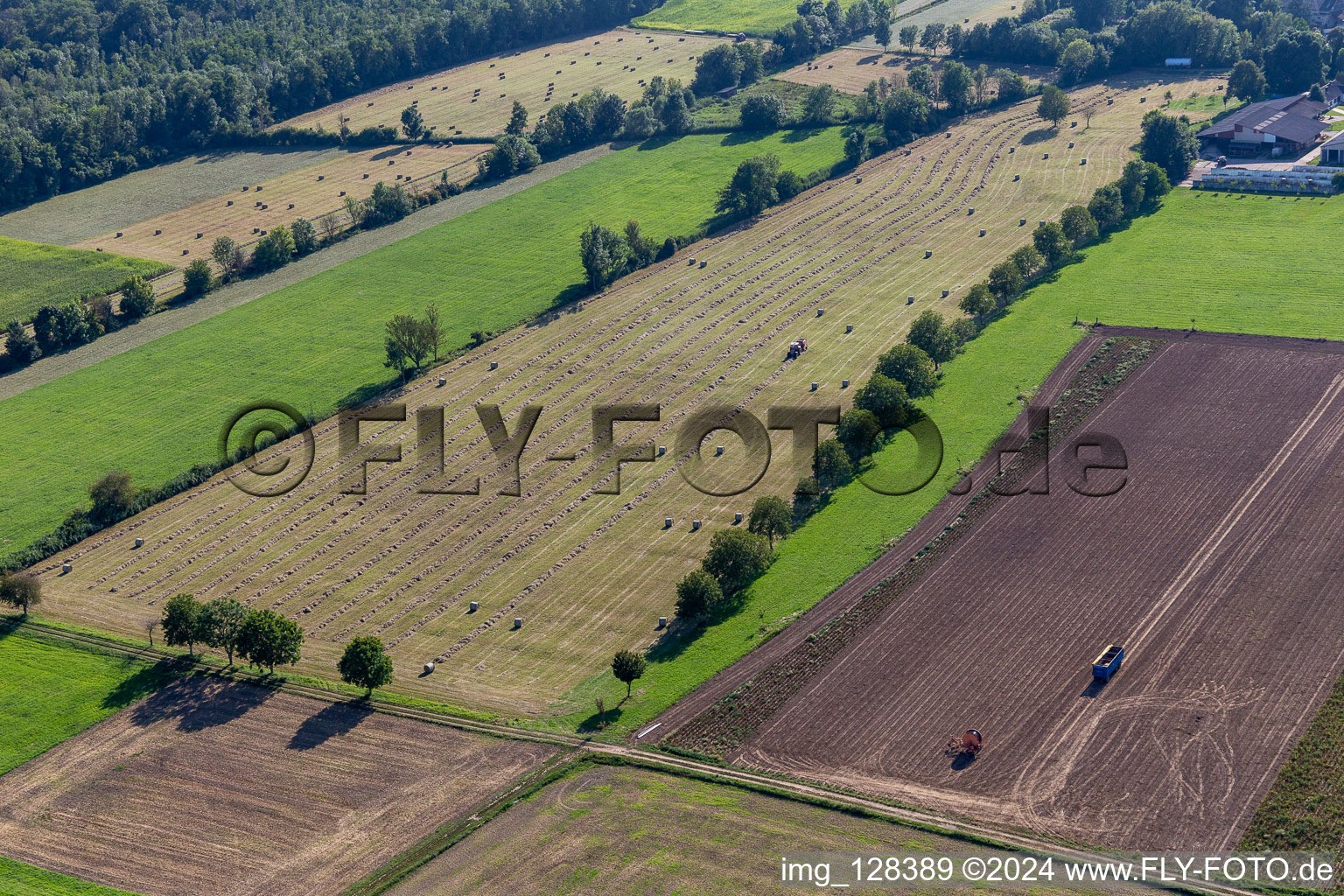 Aerial view of Flood ditch, Erlenbach. Buschurgraben in Steinweiler in the state Rhineland-Palatinate, Germany