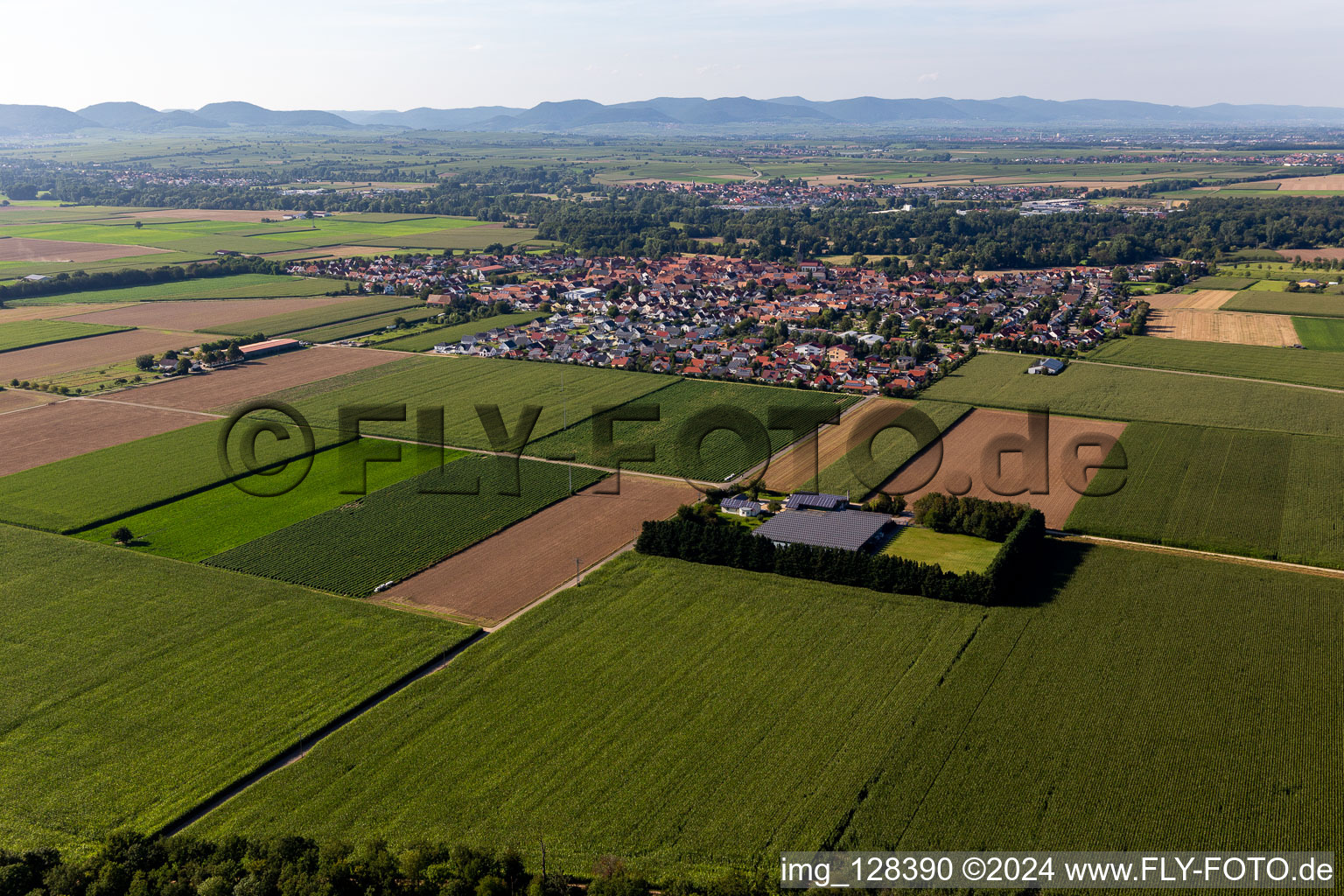 Steinweiler in the state Rhineland-Palatinate, Germany viewn from the air