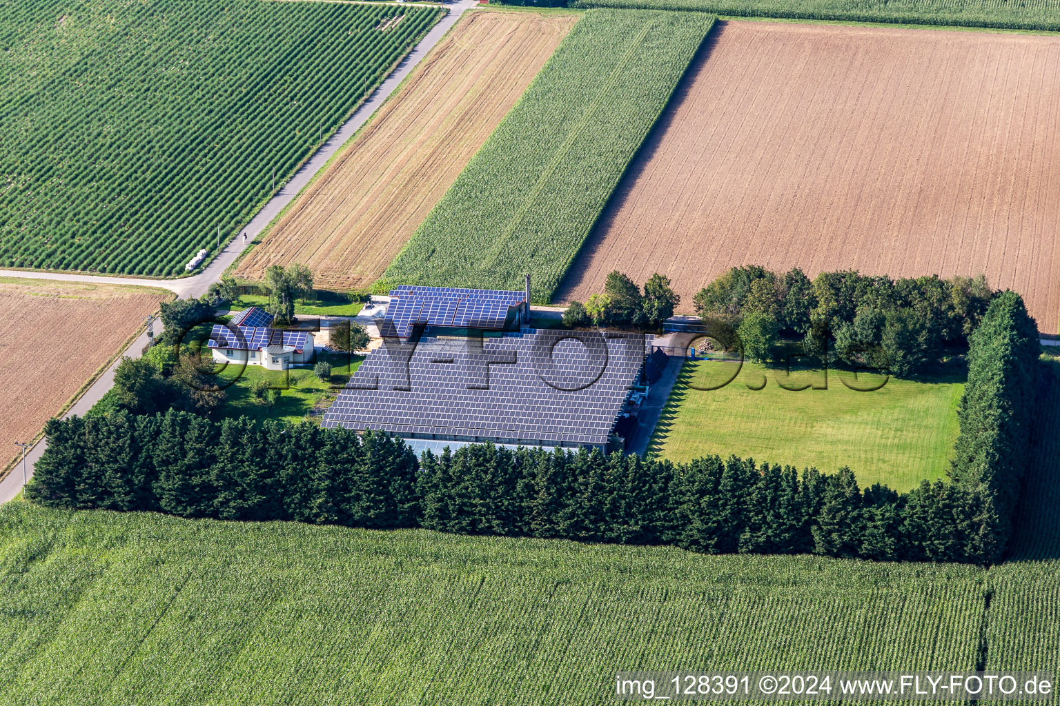 Drone recording of Steinweiler in the state Rhineland-Palatinate, Germany