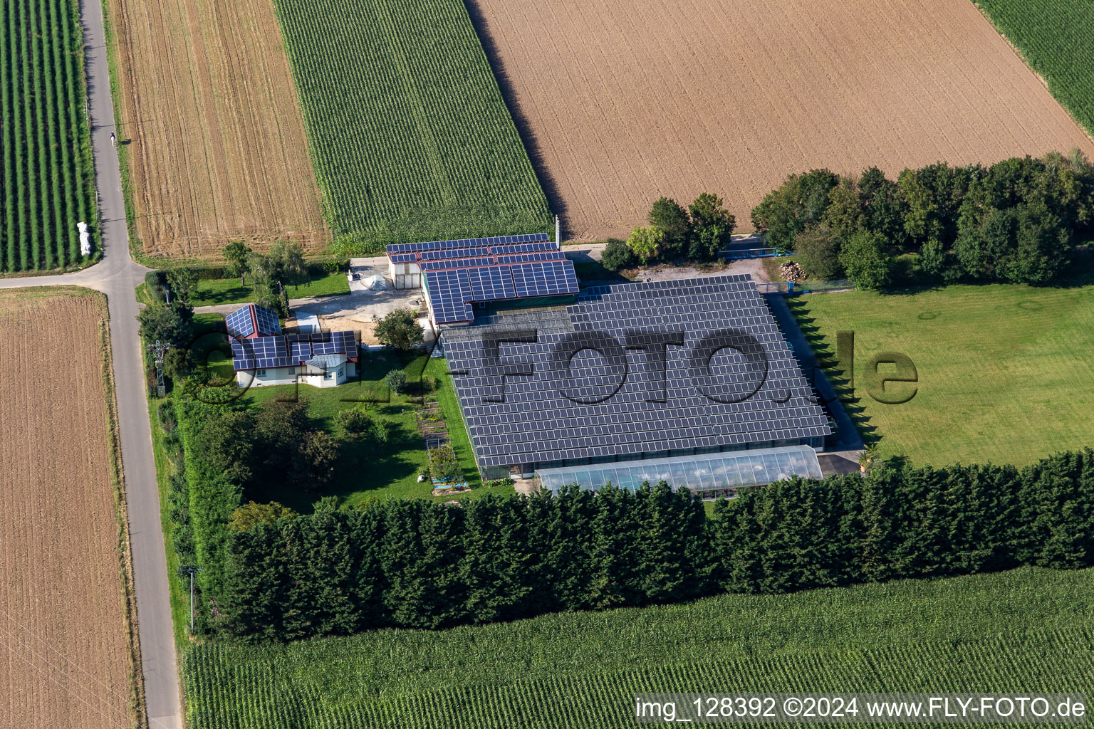 Drone image of Steinweiler in the state Rhineland-Palatinate, Germany