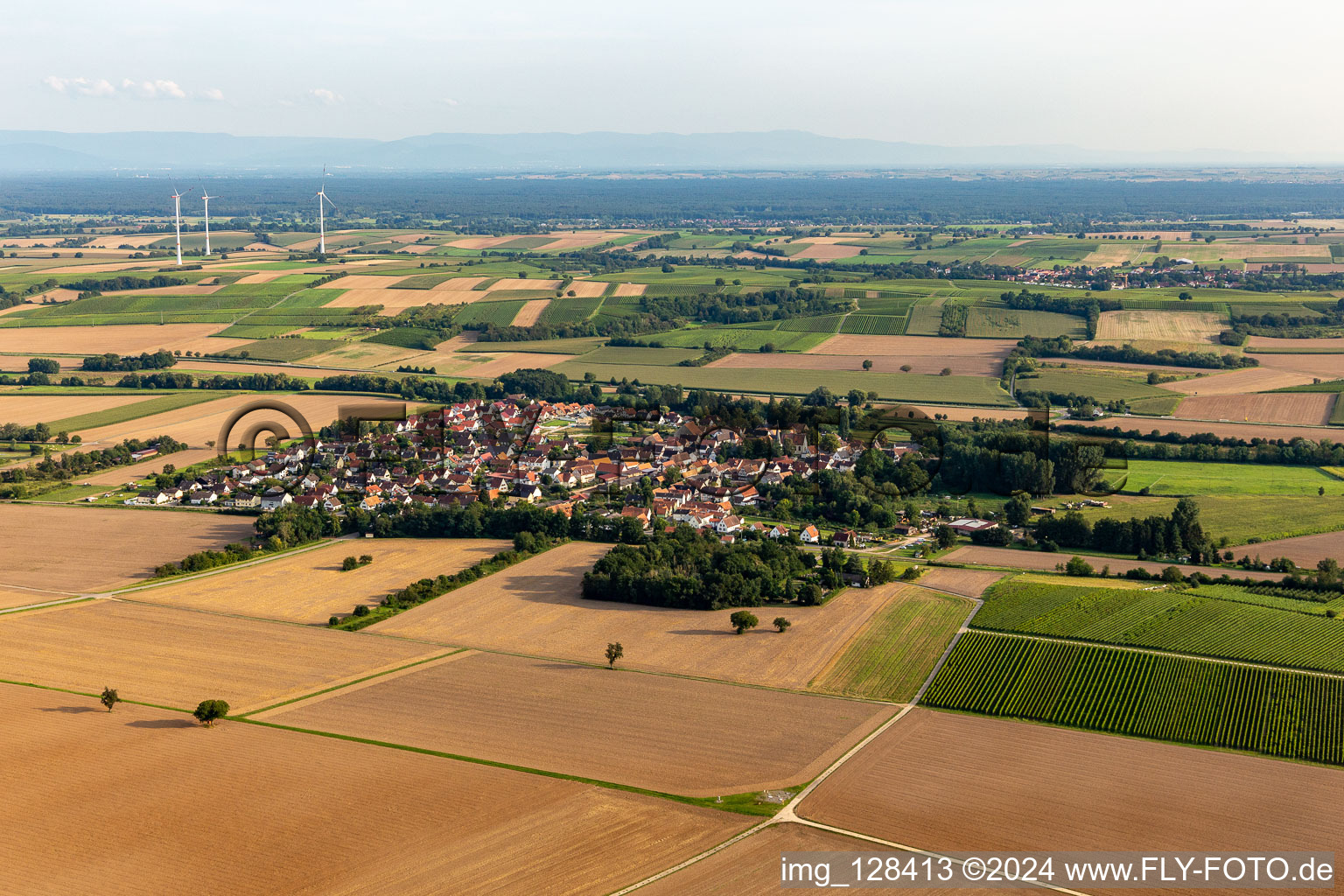 Bird's eye view of Barbelroth in the state Rhineland-Palatinate, Germany