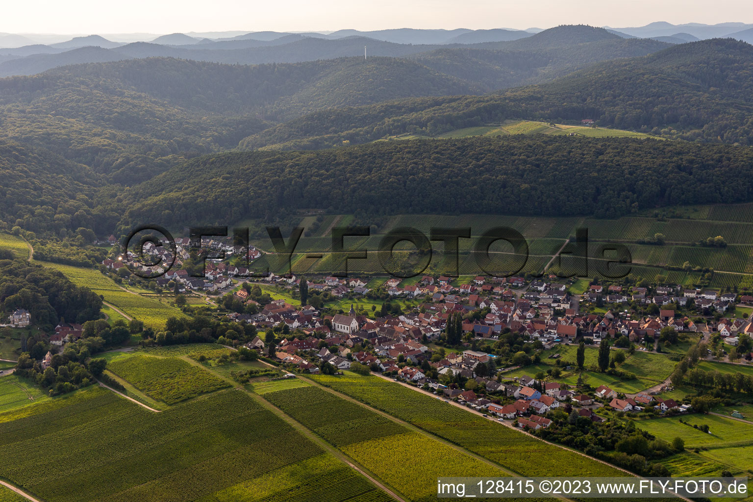 Bird's eye view of District Pleisweiler in Pleisweiler-Oberhofen in the state Rhineland-Palatinate, Germany