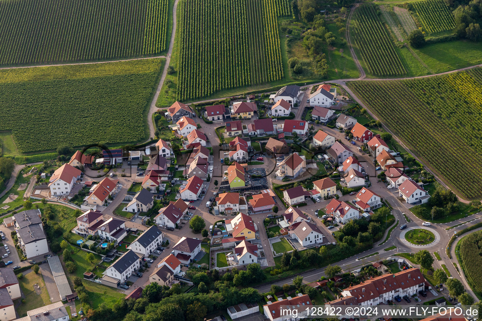 In the vineyard in the district Pleisweiler in Bad Bergzabern in the state Rhineland-Palatinate, Germany