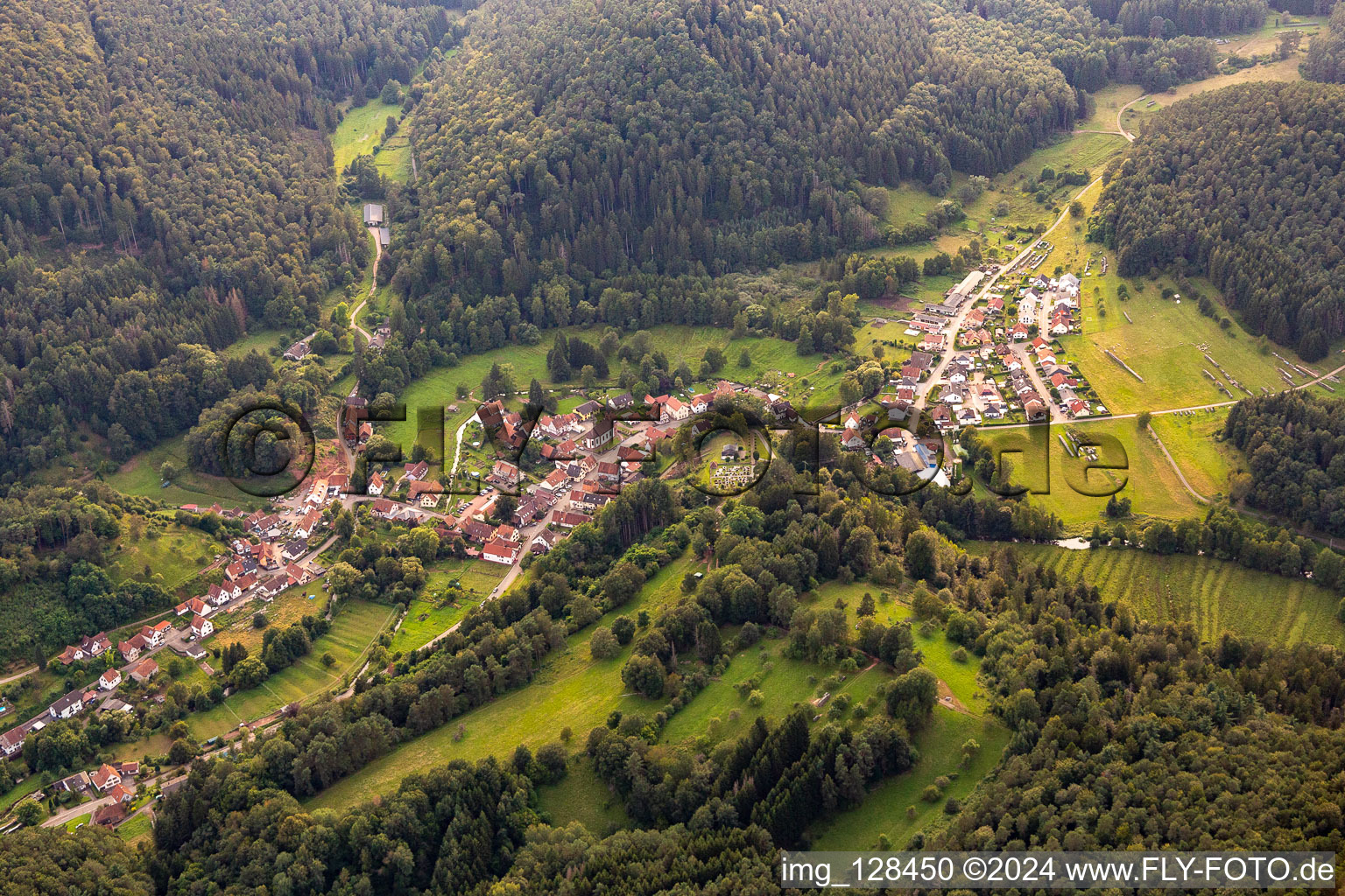 Bobenthal in the state Rhineland-Palatinate, Germany from the plane