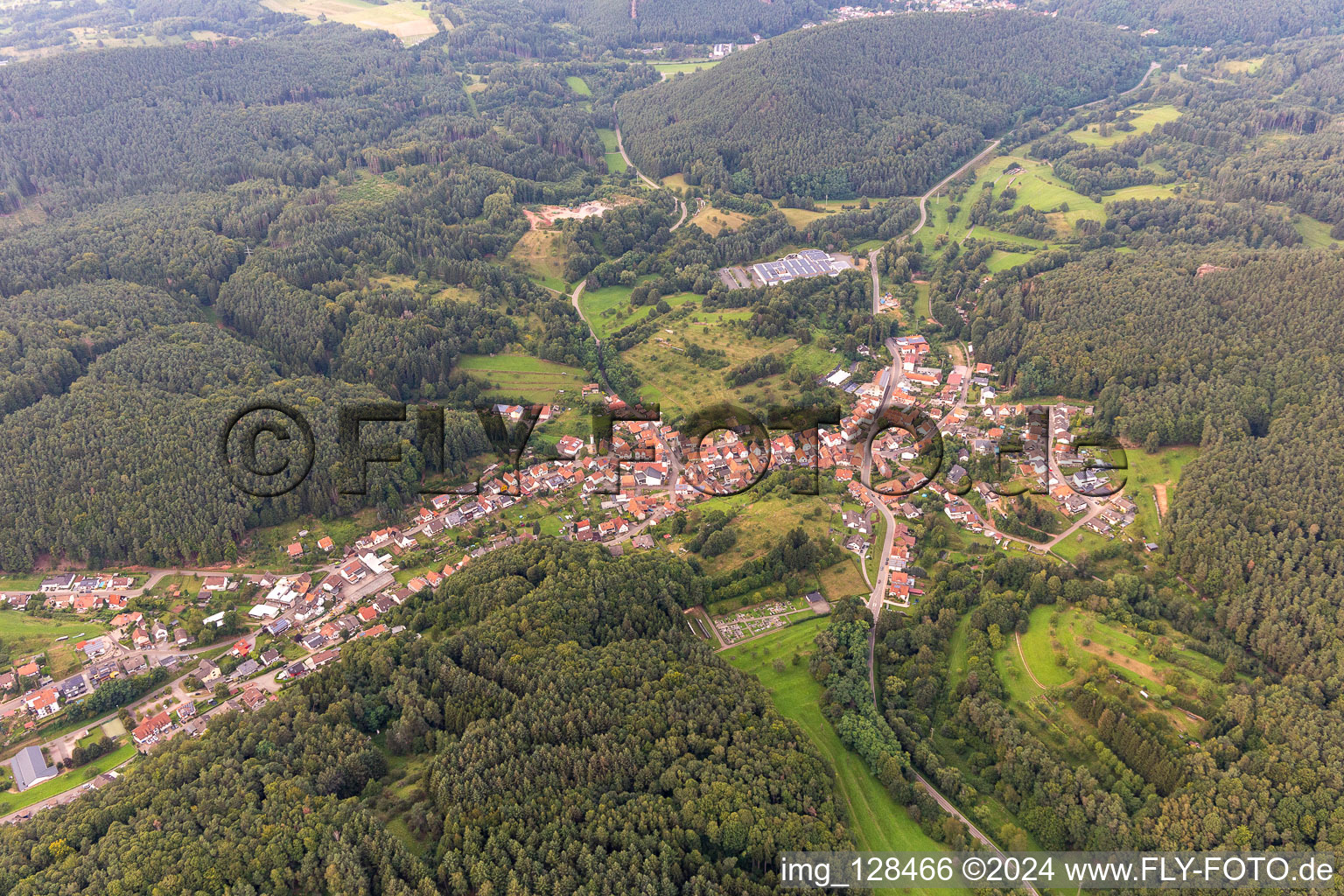 Schwanheim in the state Rhineland-Palatinate, Germany out of the air