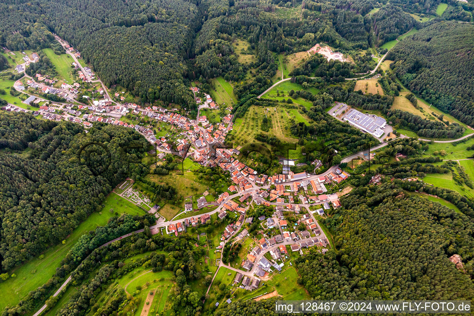 Surrounded by forest and forest areas center of the streets and houses and residential areas in Schwanheim in the state Rhineland-Palatinate, Germany