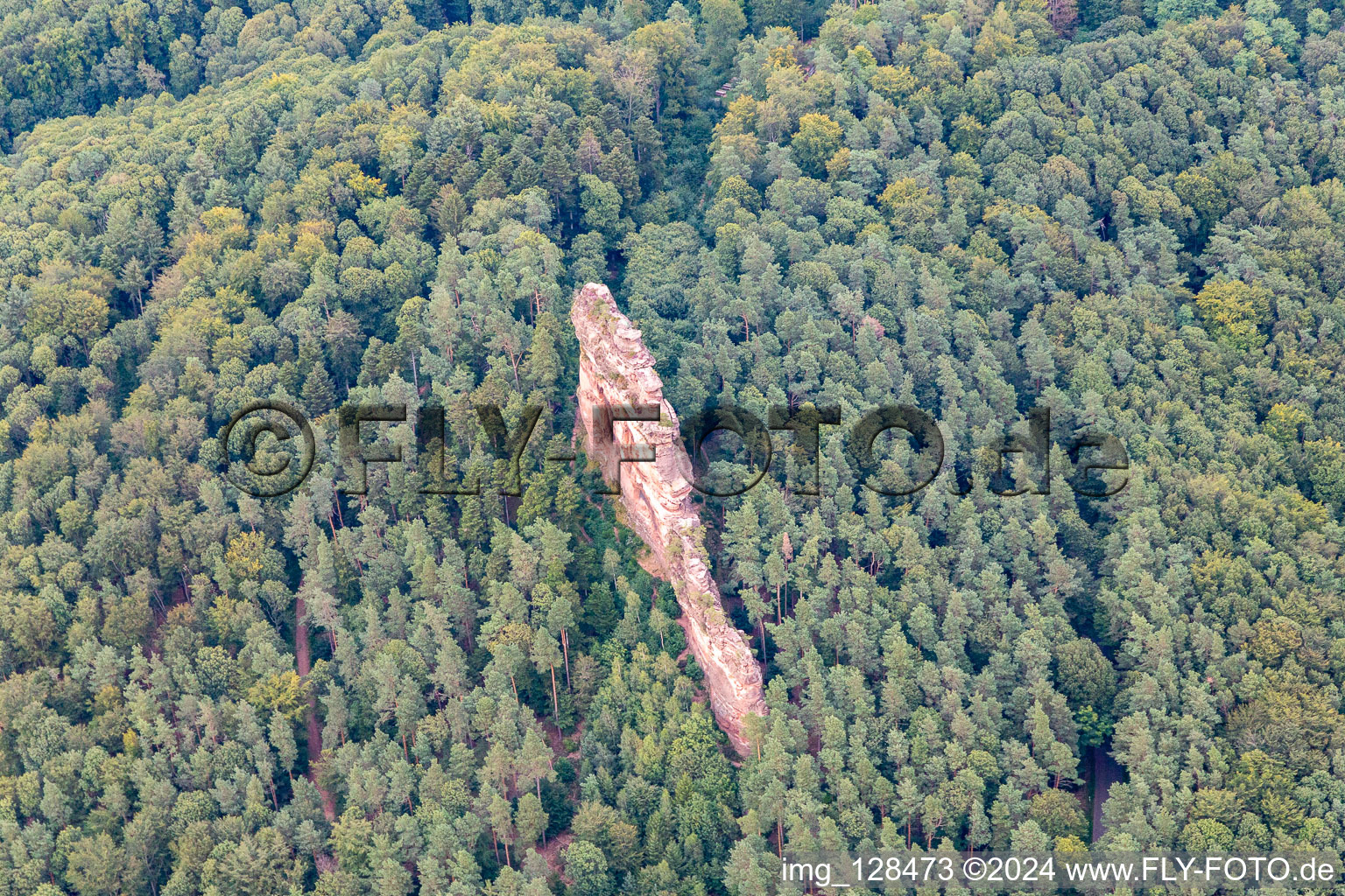 Asselstein climbing rocks in Annweiler am Trifels in the state Rhineland-Palatinate, Germany