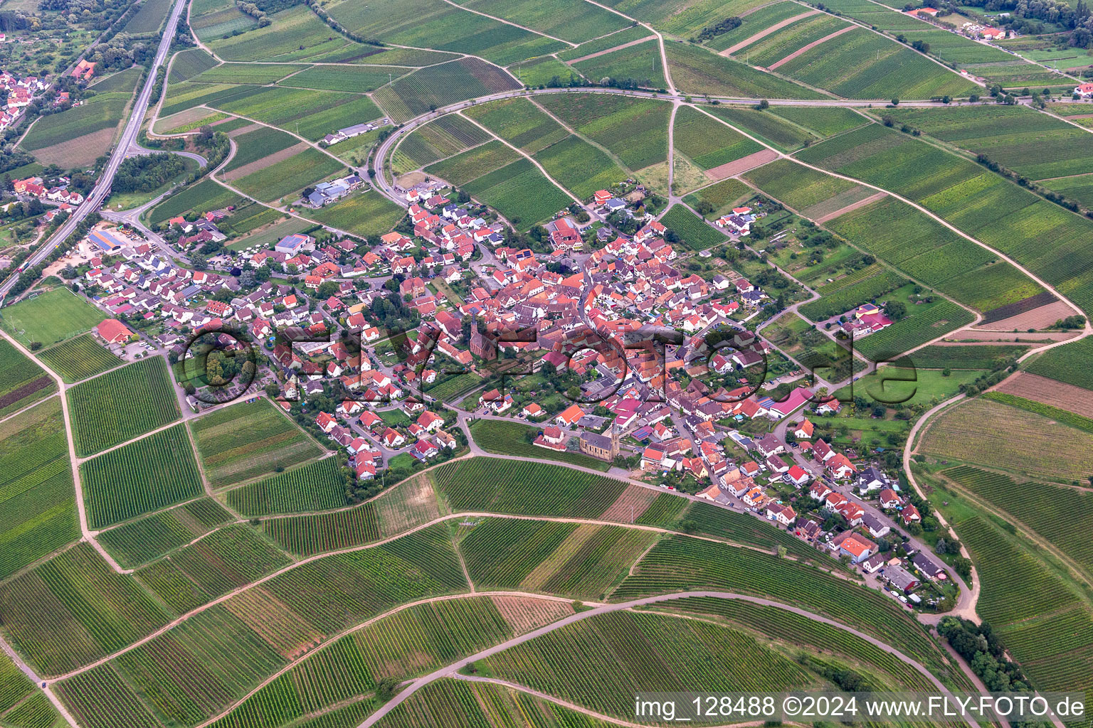 Birkweiler in the state Rhineland-Palatinate, Germany from above