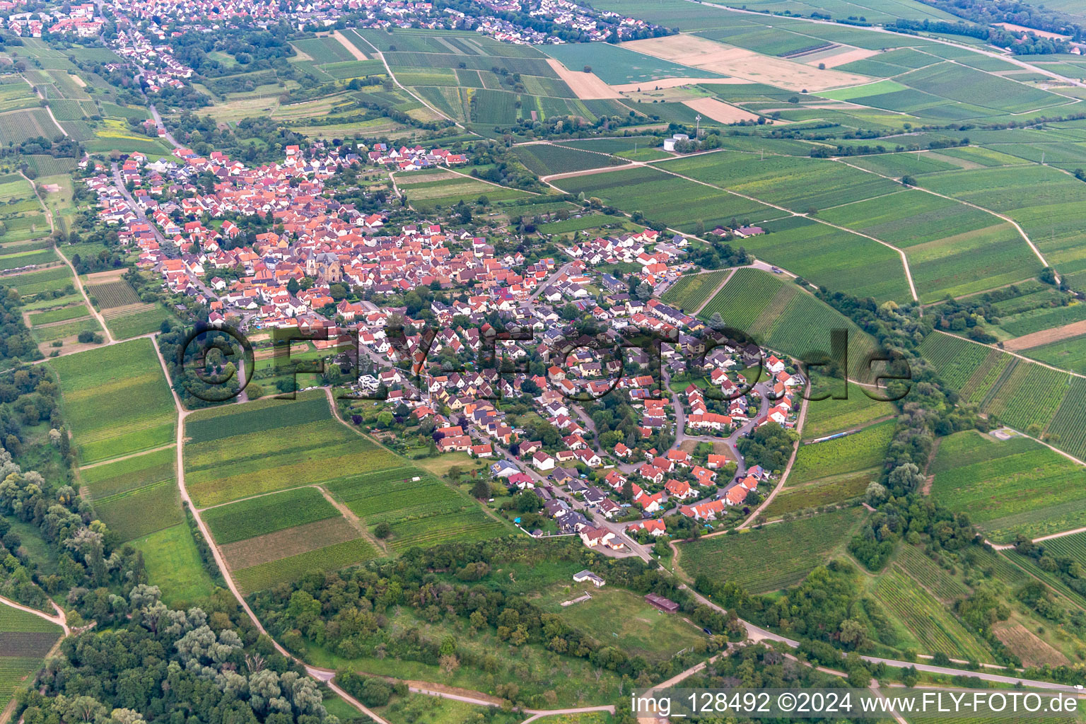 Drone image of District Arzheim in Landau in der Pfalz in the state Rhineland-Palatinate, Germany