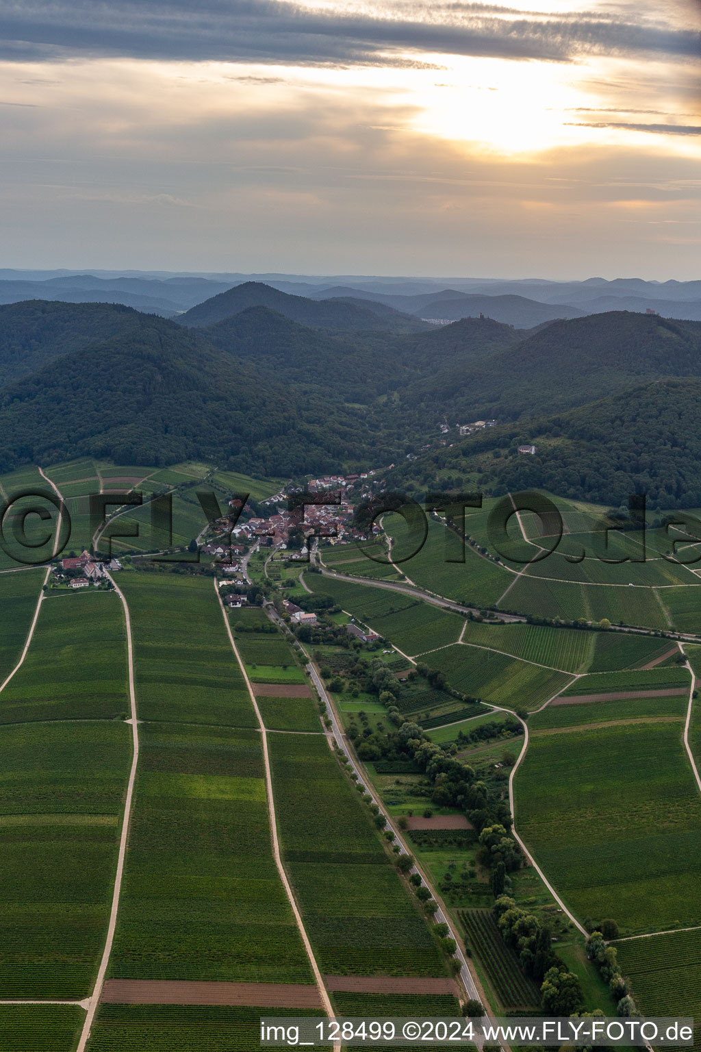 Oblique view of Leinsweiler in the state Rhineland-Palatinate, Germany