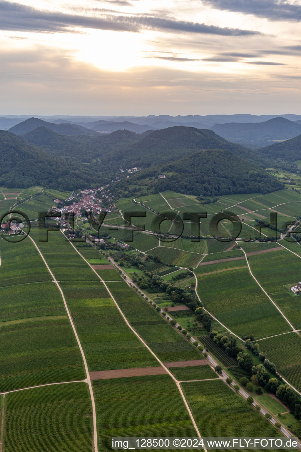 Fields of wine cultivation landscape in Leinsweiler in the state Rhineland-Palatinate, Germany