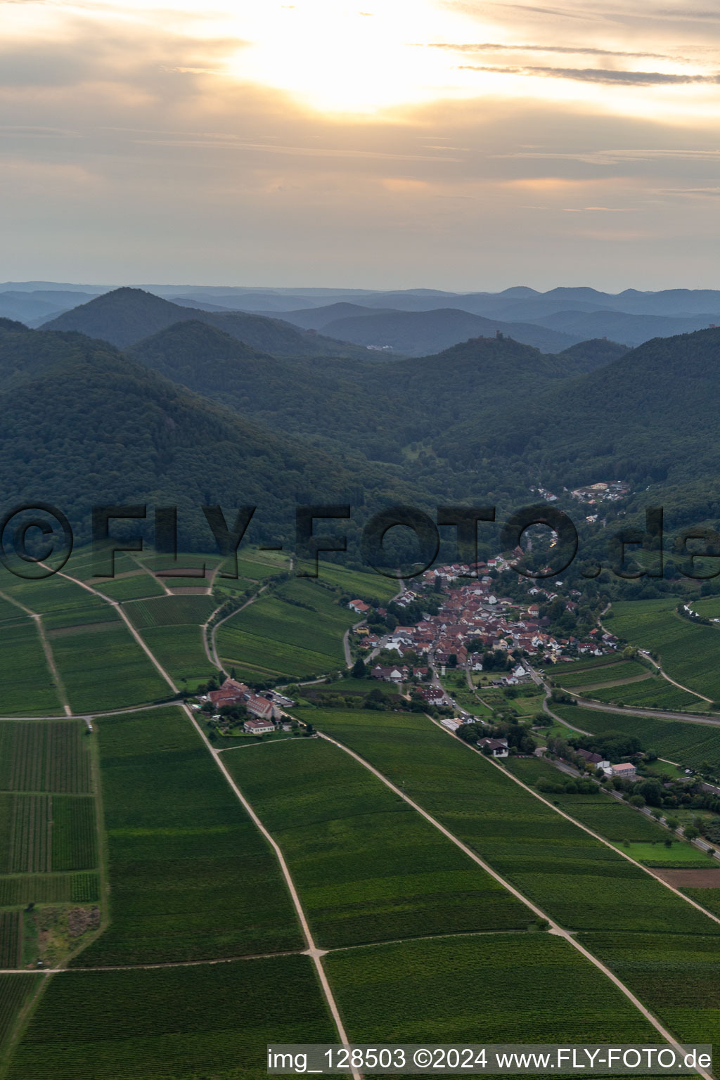 Aerial photograpy of Fields of wine cultivation landscape in Leinsweiler in the state Rhineland-Palatinate, Germany