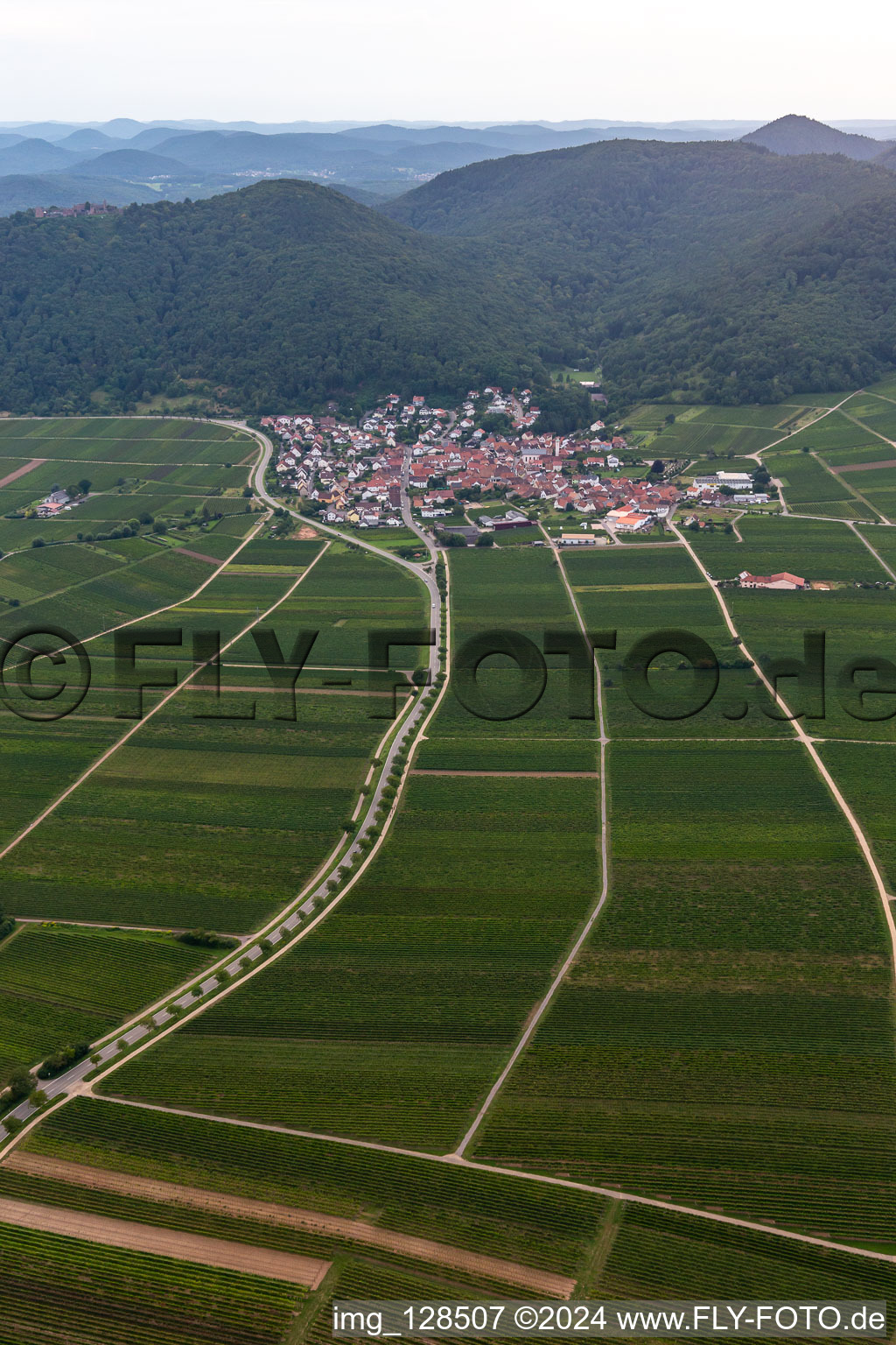 Fields of wine cultivation landscape in Eschbach in the state Rhineland-Palatinate, Germany