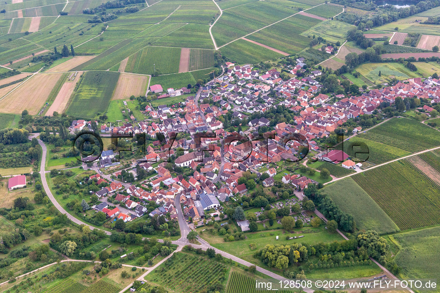 Göcklingen in the state Rhineland-Palatinate, Germany from a drone