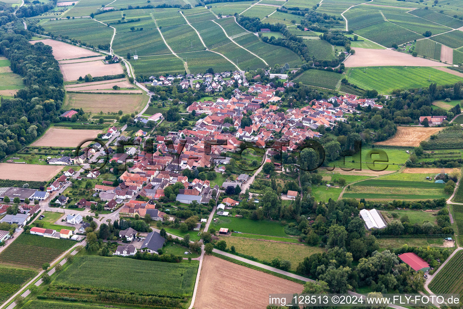 District Heuchelheim in Heuchelheim-Klingen in the state Rhineland-Palatinate, Germany from the drone perspective