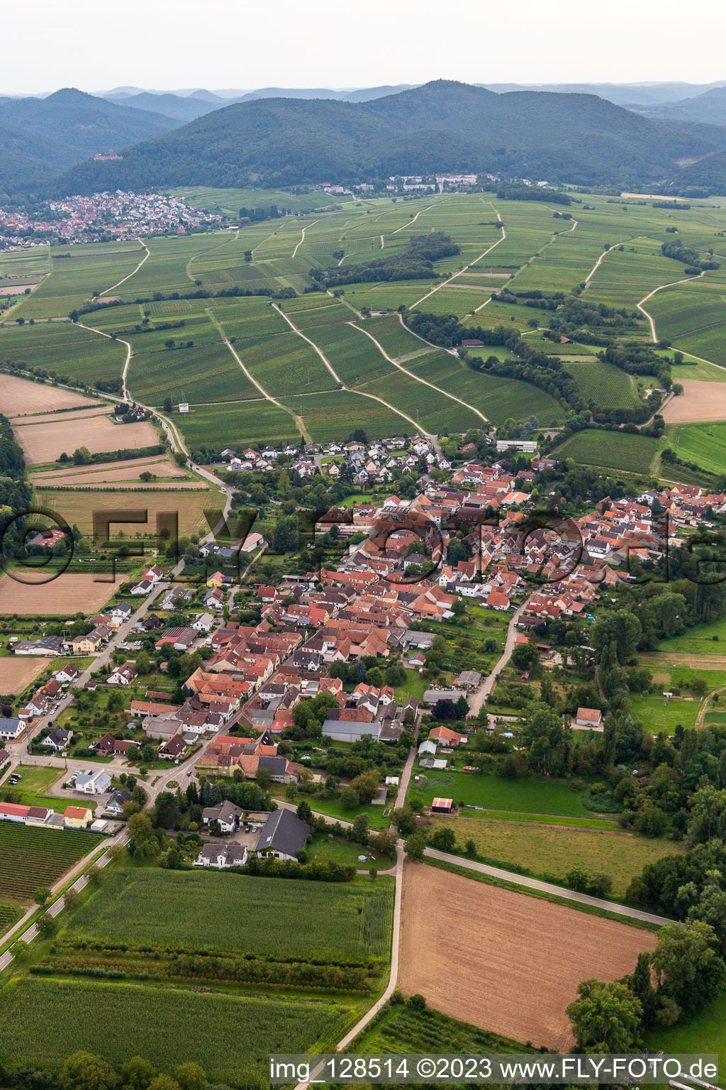 District Heuchelheim in Heuchelheim-Klingen in the state Rhineland-Palatinate, Germany from a drone
