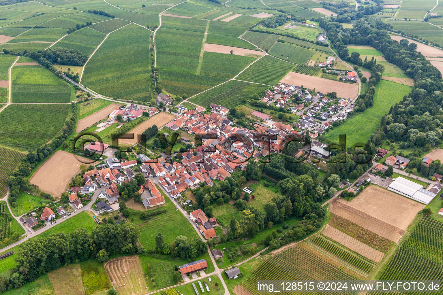 District Klingen in Heuchelheim-Klingen in the state Rhineland-Palatinate, Germany from a drone