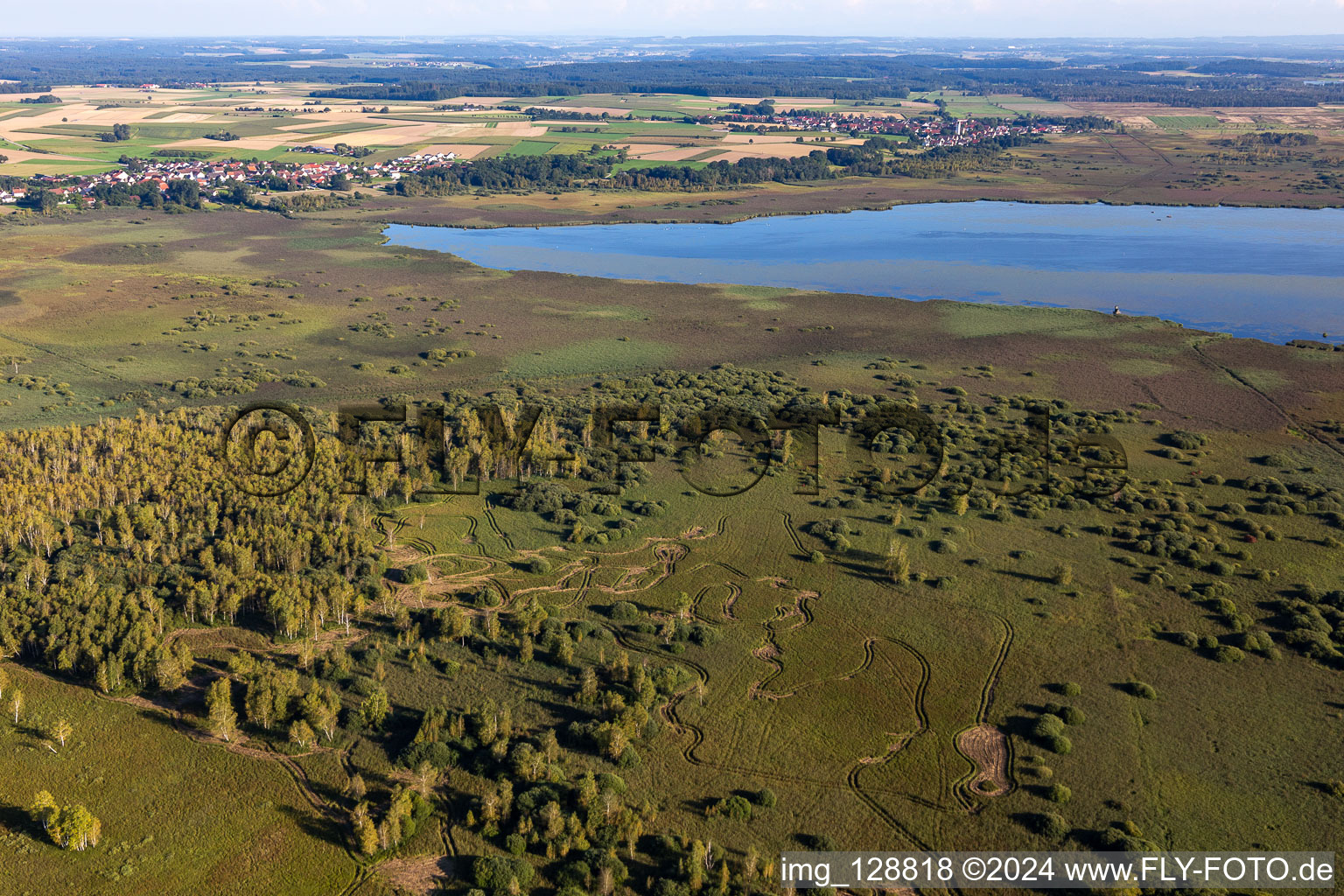 Riparian areas on the lake area of Federsee in Bad Buchau in the state Baden-Wuerttemberg, Germany