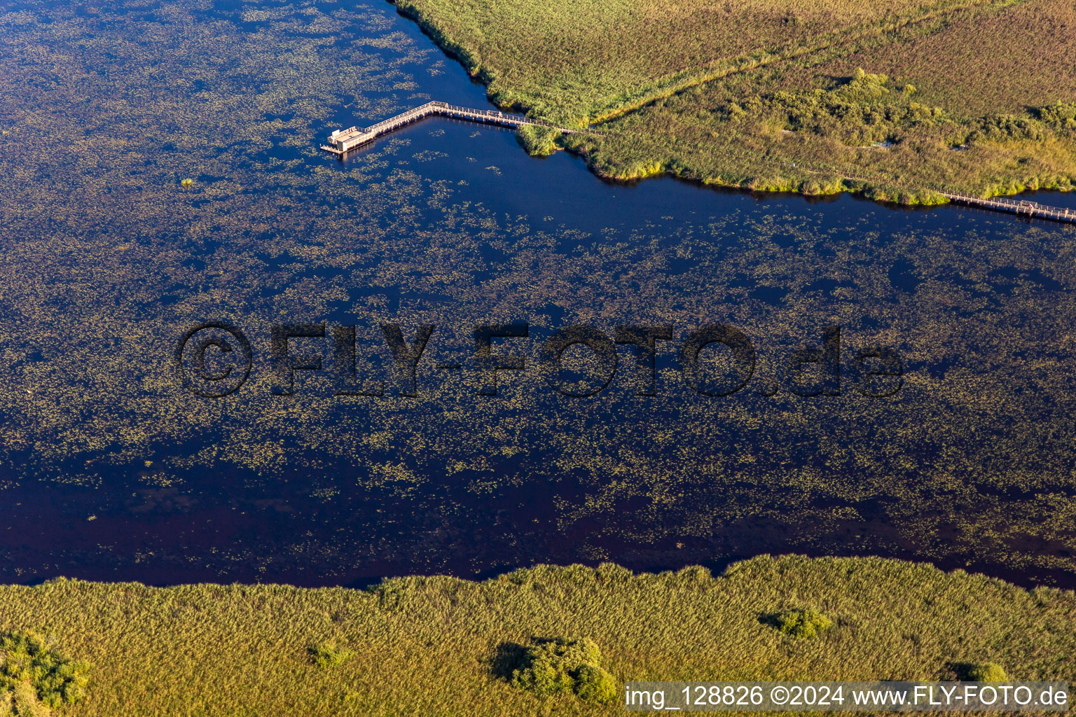 Aerial view of Federsee, Kanzach, Federseesteg viewing point in Bad Buchau in the state Baden-Wuerttemberg, Germany