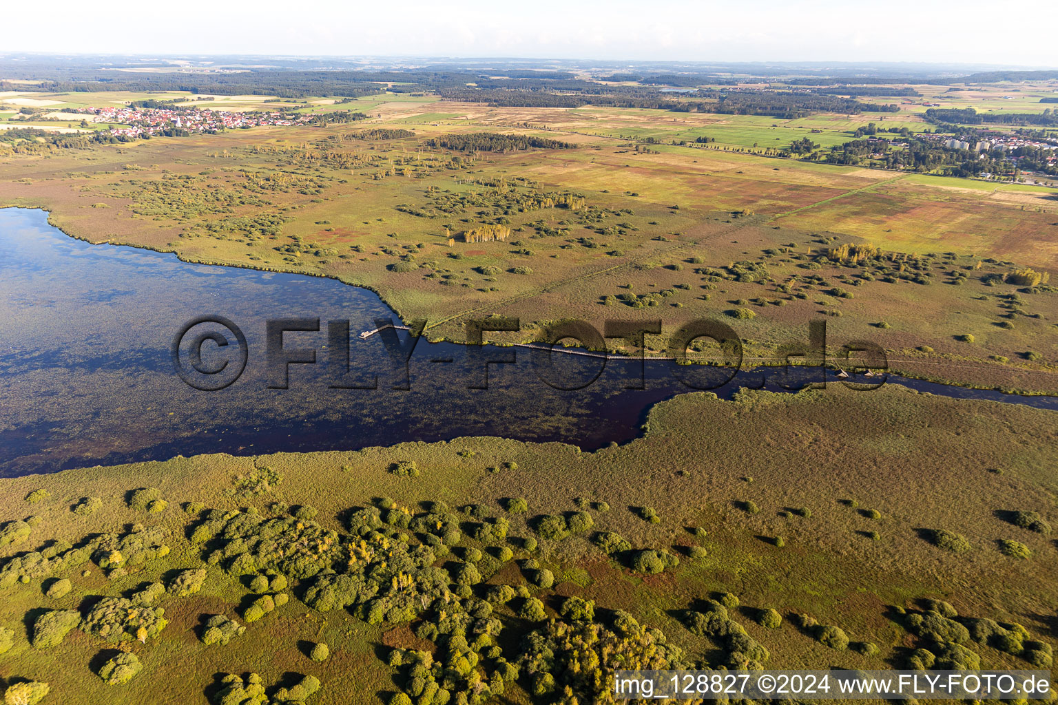 Oblique view of Riparian areas on the lake area of Federsee in Bad Buchau in the state Baden-Wuerttemberg, Germany