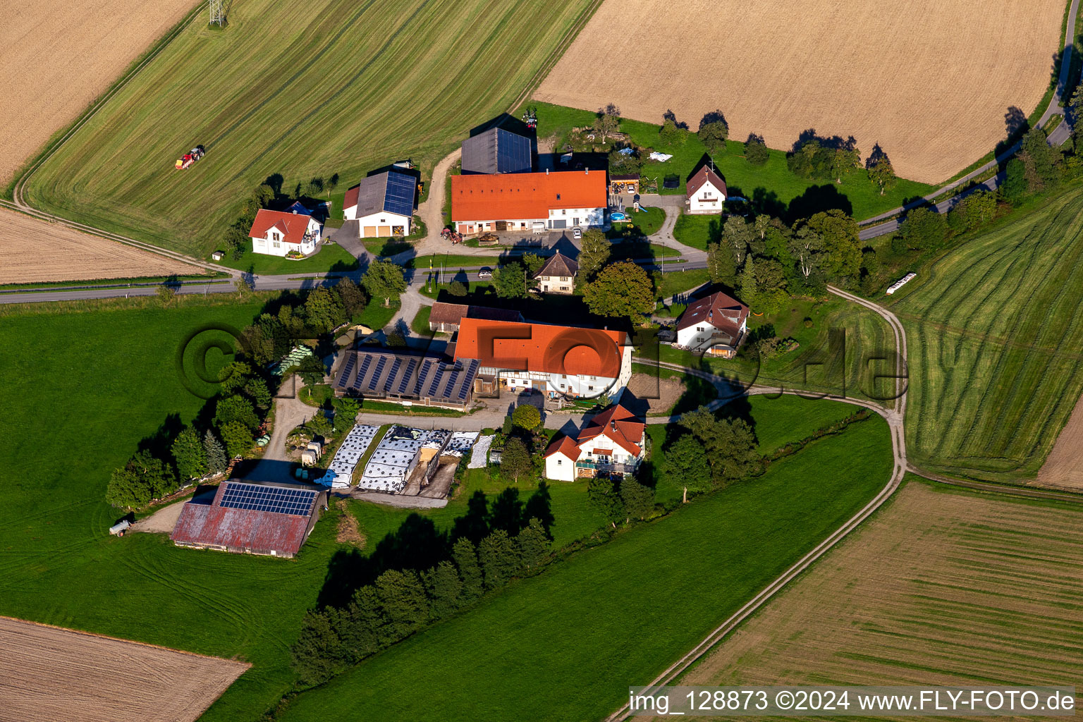 Paul Stehle in the district Michelwinnaden in Bad Waldsee in the state Baden-Wuerttemberg, Germany