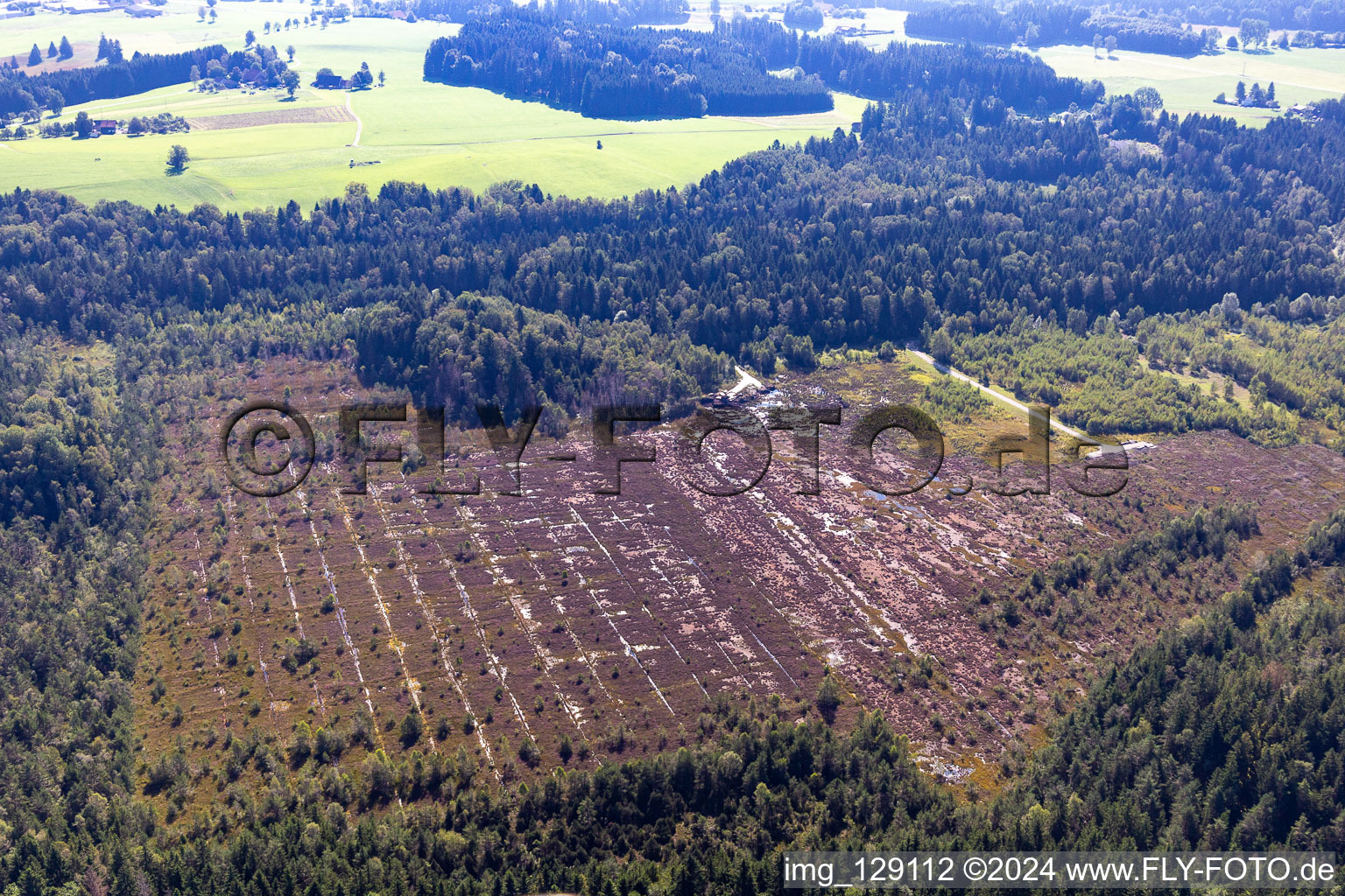 Peat extraction Vogt-Reichermoos in Vogt in the state Baden-Wuerttemberg, Germany