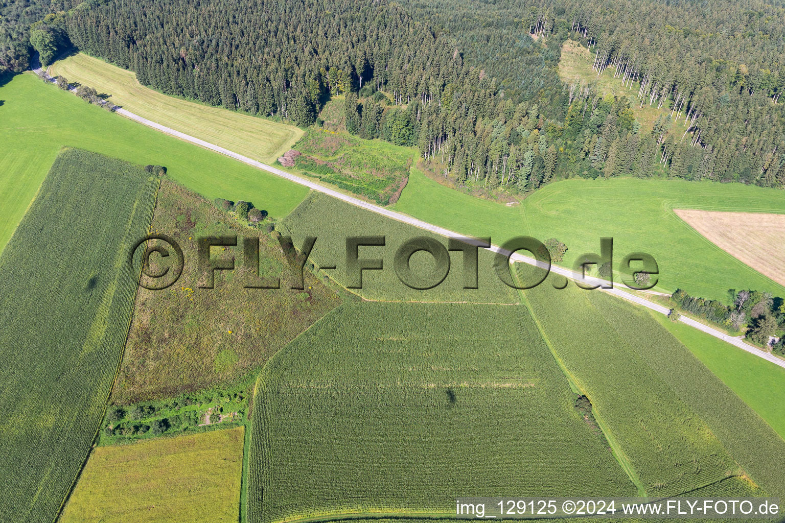 District Wassers in Wolfegg in the state Baden-Wuerttemberg, Germany