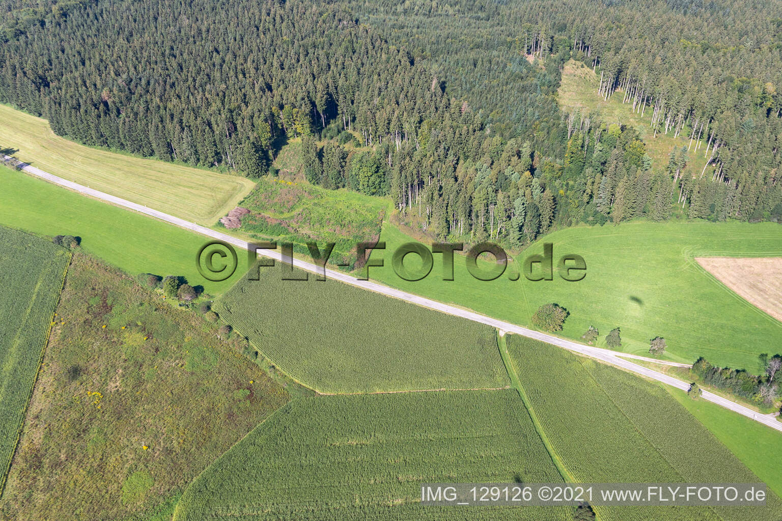 Aerial view of Wolfegg in the state Baden-Wuerttemberg, Germany
