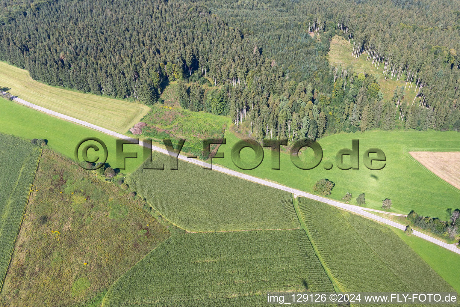 Aerial view of District Wassers in Wolfegg in the state Baden-Wuerttemberg, Germany