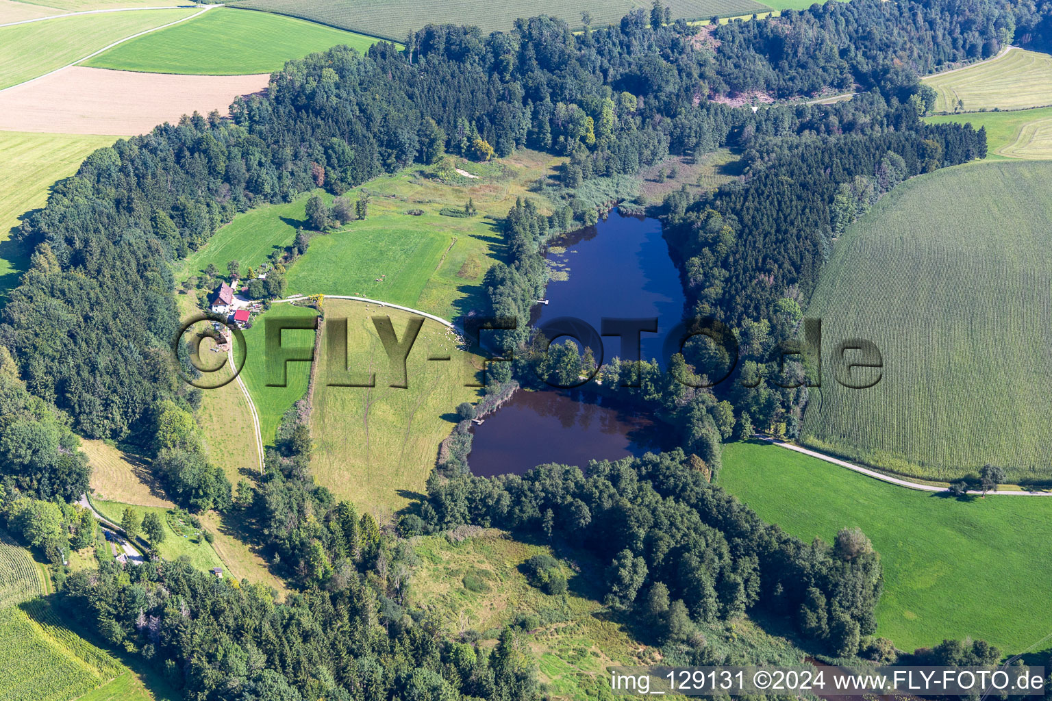 Elfenweiher in the district Witschwende in Bergatreute in the state Baden-Wuerttemberg, Germany