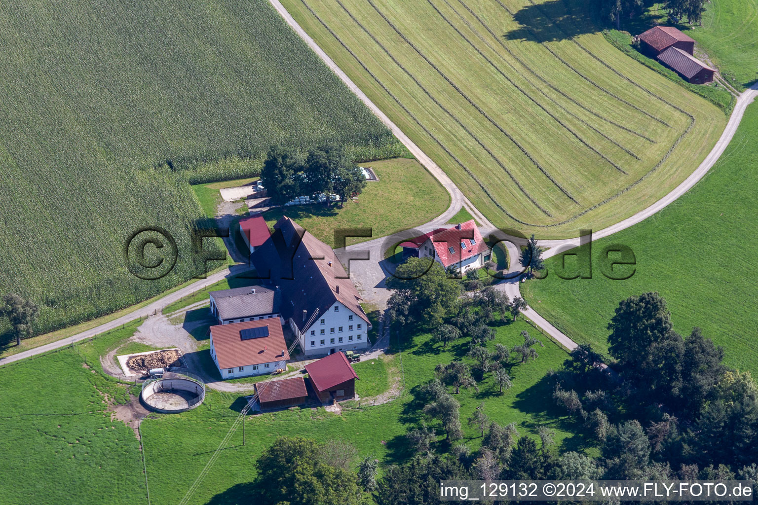 Sheep farm in the district Witschwende in Bergatreute in the state Baden-Wuerttemberg, Germany