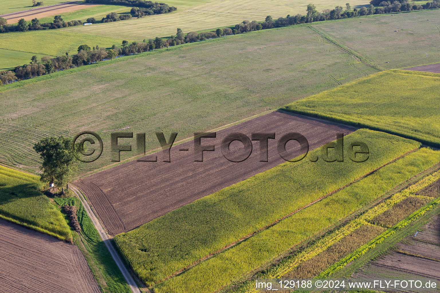 Altheim in the state Baden-Wuerttemberg, Germany from above