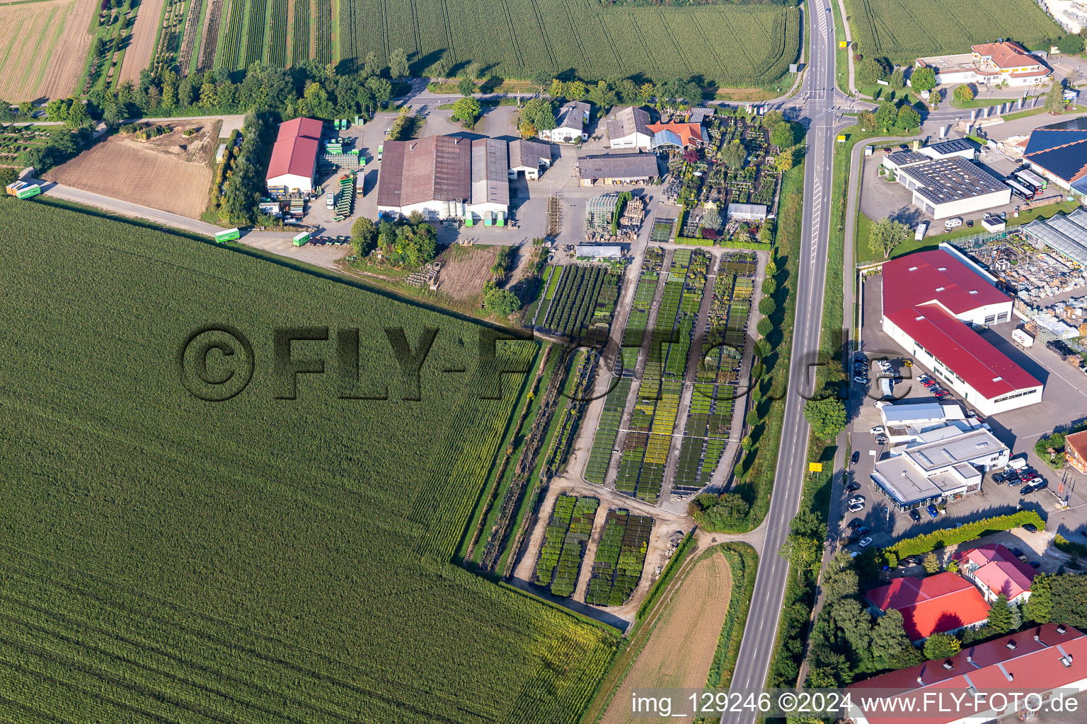 Nursery Karl Schlegel oHG in the district Eichenau in Riedlingen in the state Baden-Wuerttemberg, Germany