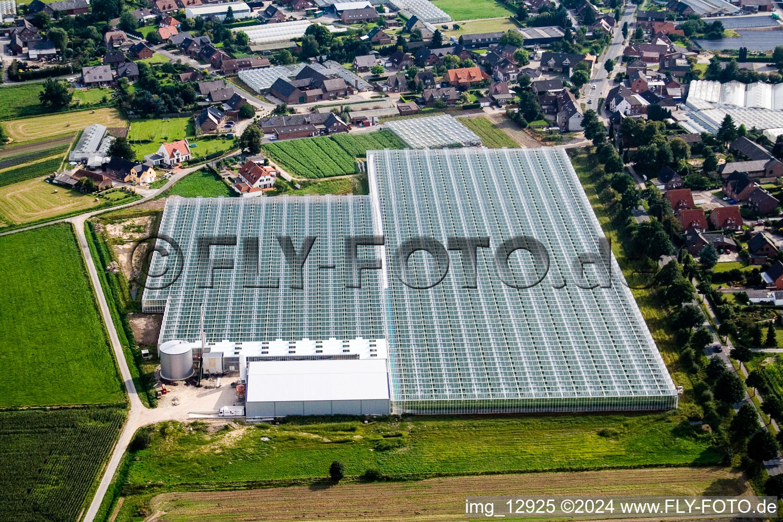 Glass roof surfaces in the greenhouse rows for Floriculture in Kerken in the state North Rhine-Westphalia, Germany