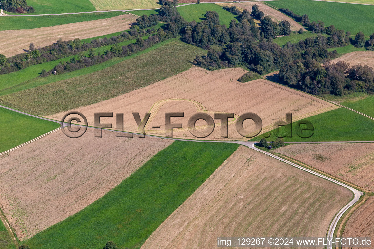 Heart in the grain in the district Dürrenwaldstetten in Langenenslingen in the state Baden-Wuerttemberg, Germany