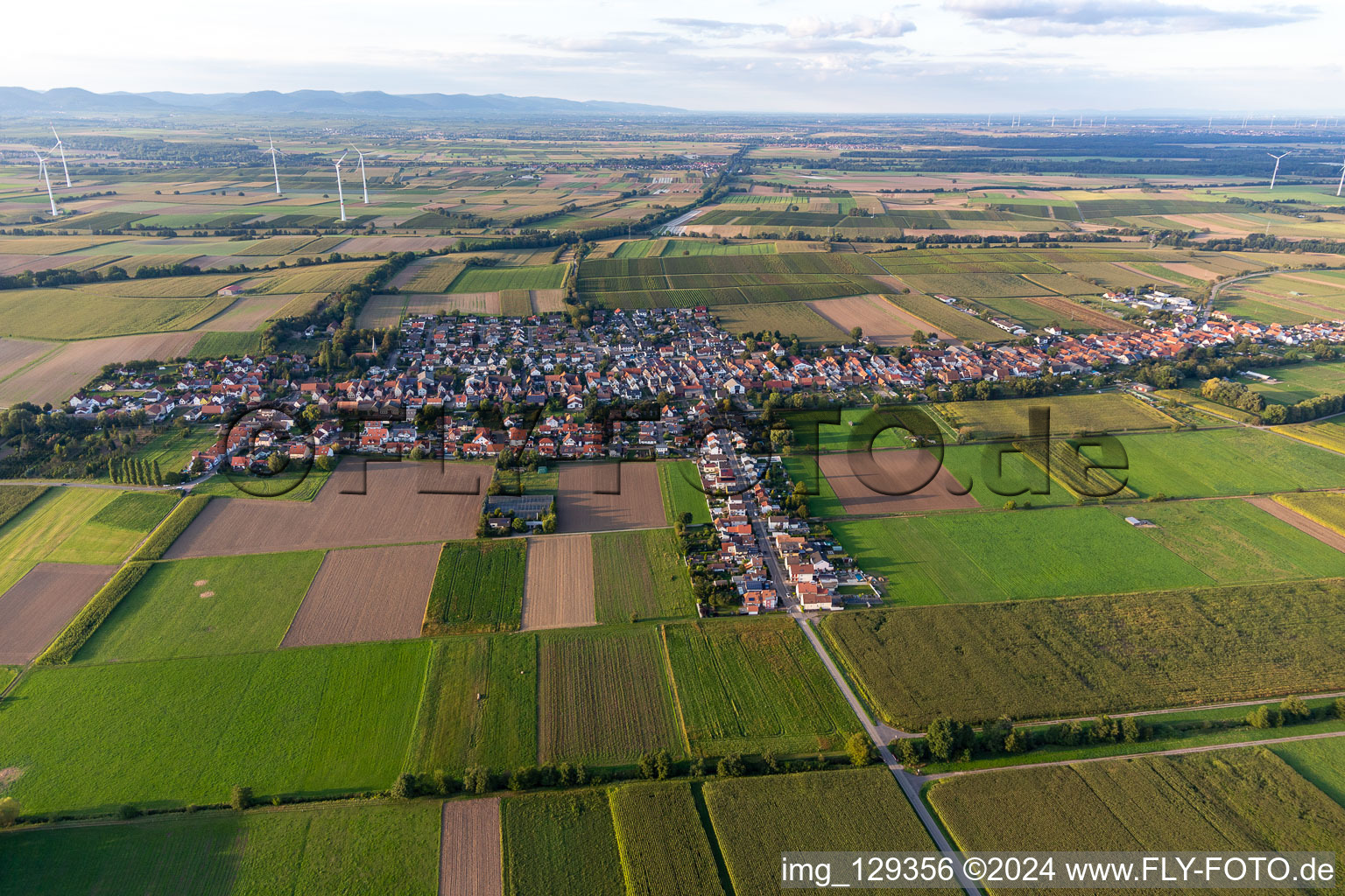 Freckenfeld in the state Rhineland-Palatinate, Germany from the plane