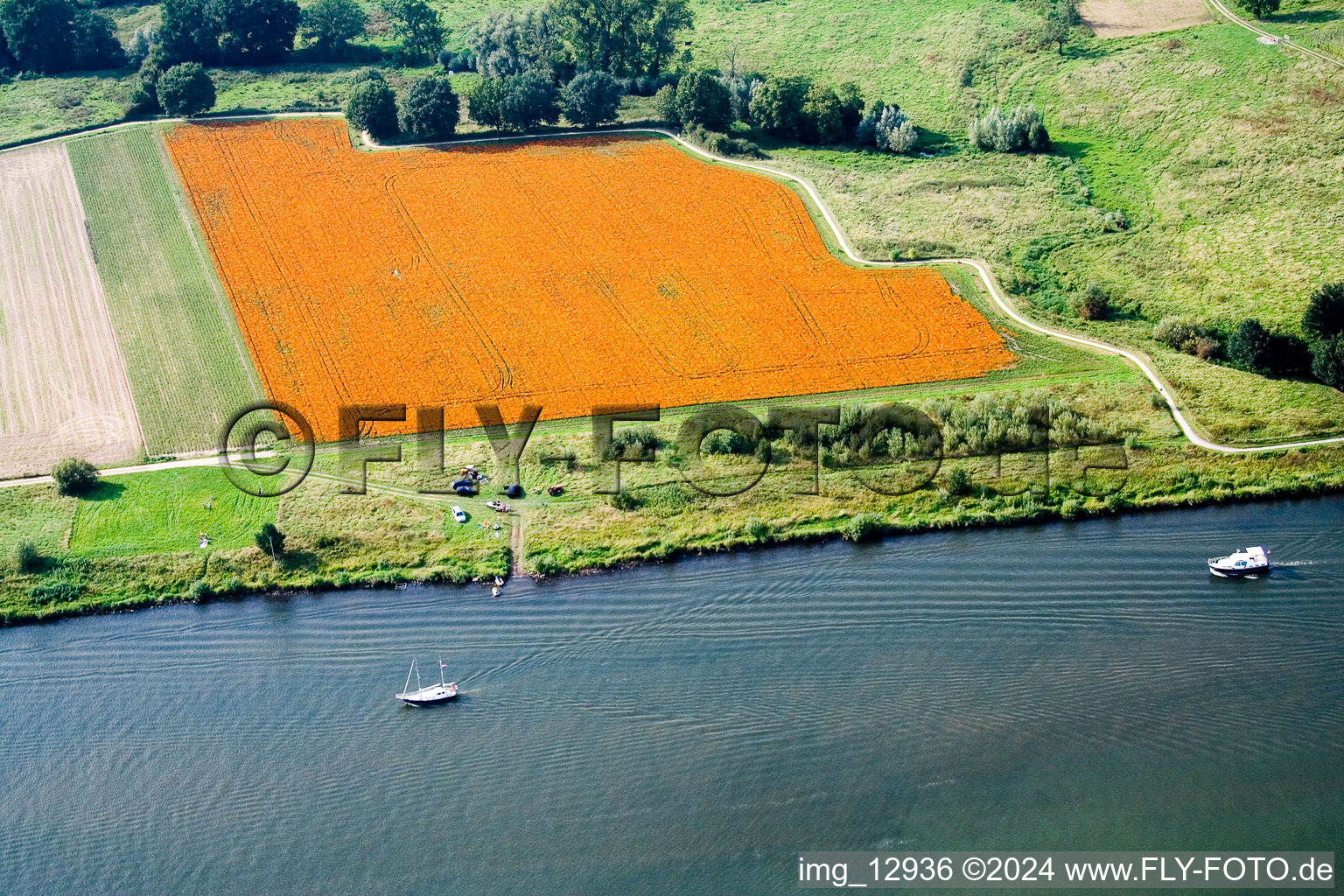 Lomm in the state Limburg, Netherlands