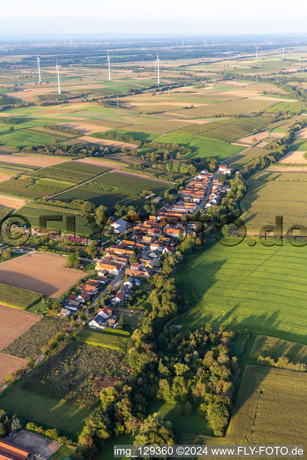 Bird's eye view of Vollmersweiler in the state Rhineland-Palatinate, Germany