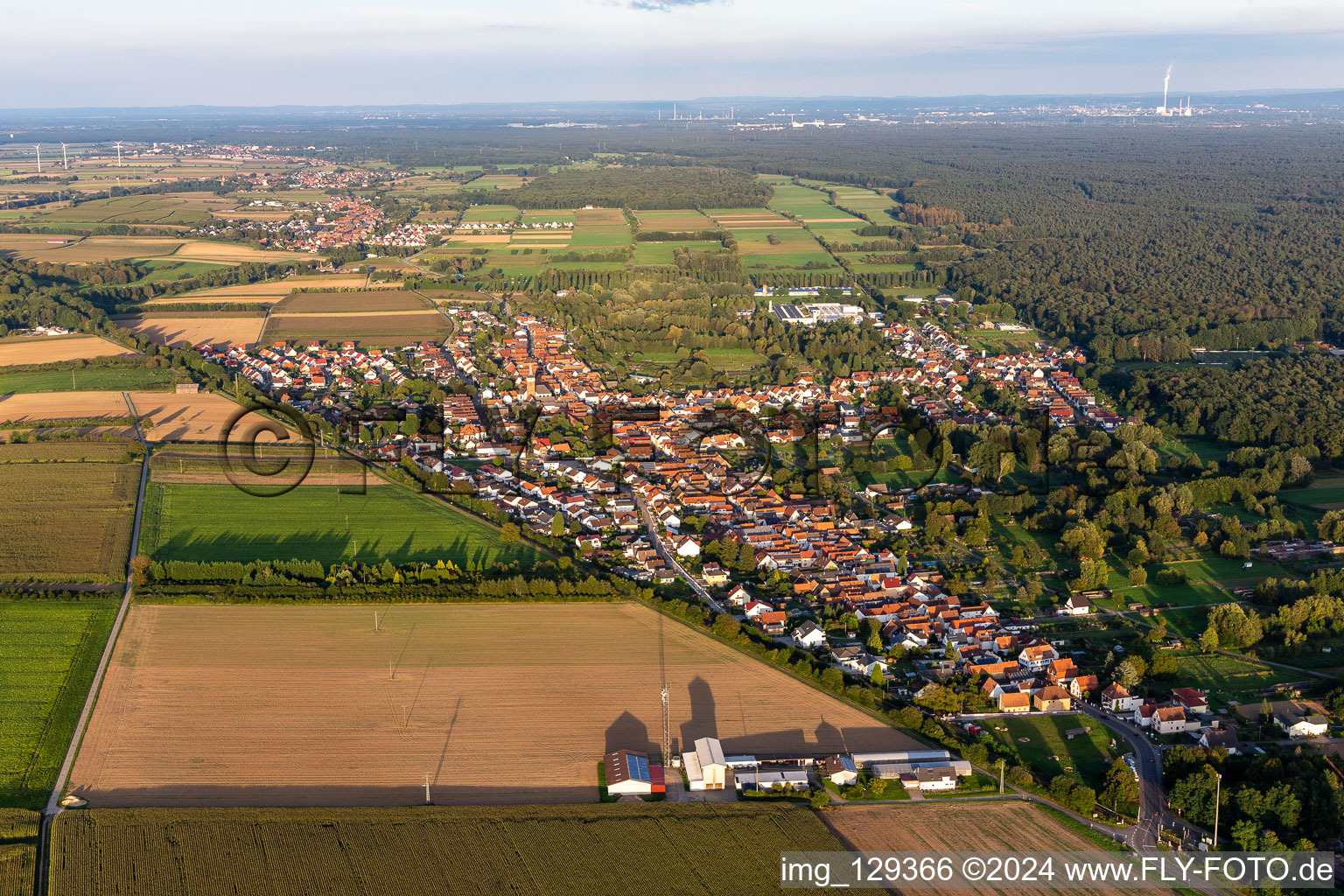 District Schaidt in Wörth am Rhein in the state Rhineland-Palatinate, Germany viewn from the air