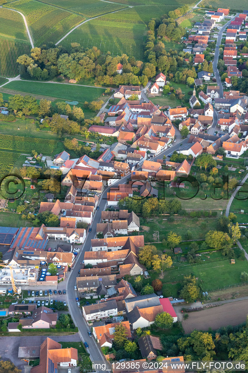 Dierbach in the state Rhineland-Palatinate, Germany from the drone perspective