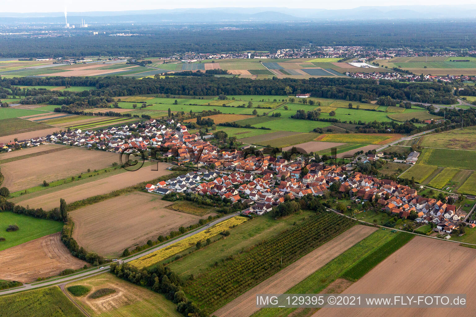 Erlenbach bei Kandel in the state Rhineland-Palatinate, Germany from a drone