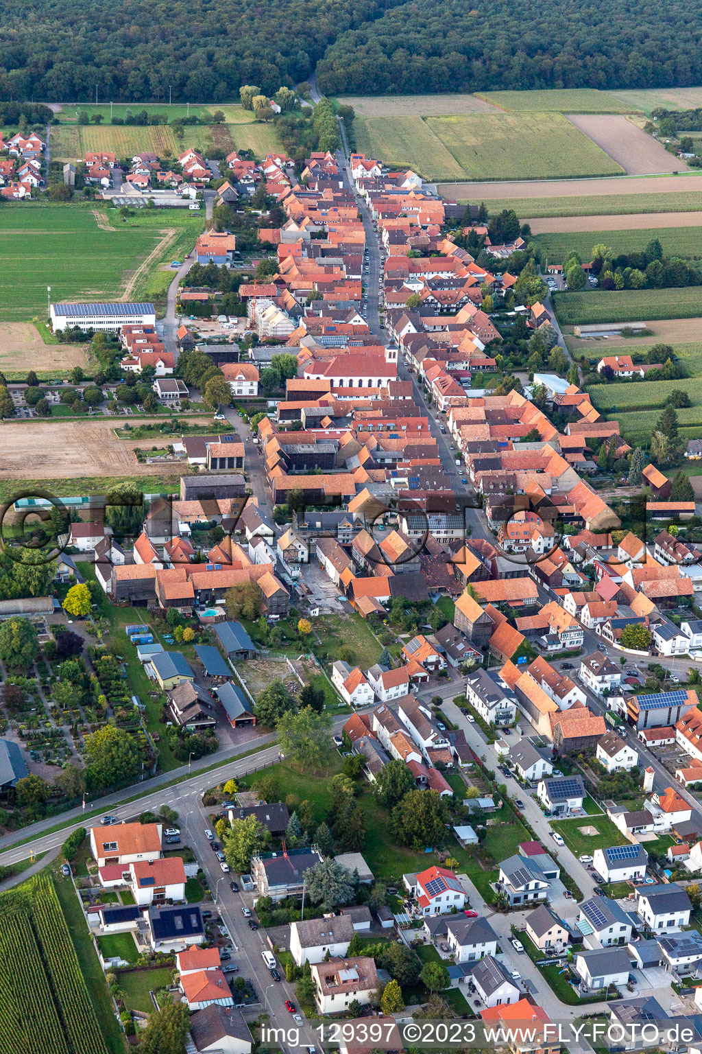 Oblique view of District Hayna in Herxheim bei Landau in the state Rhineland-Palatinate, Germany