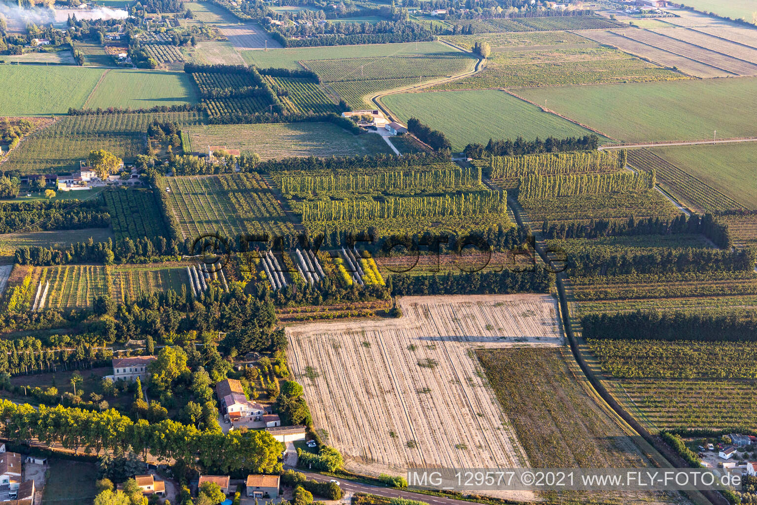 Wind-protected plantations in Tarascon in the state Bouches du Rhone, France