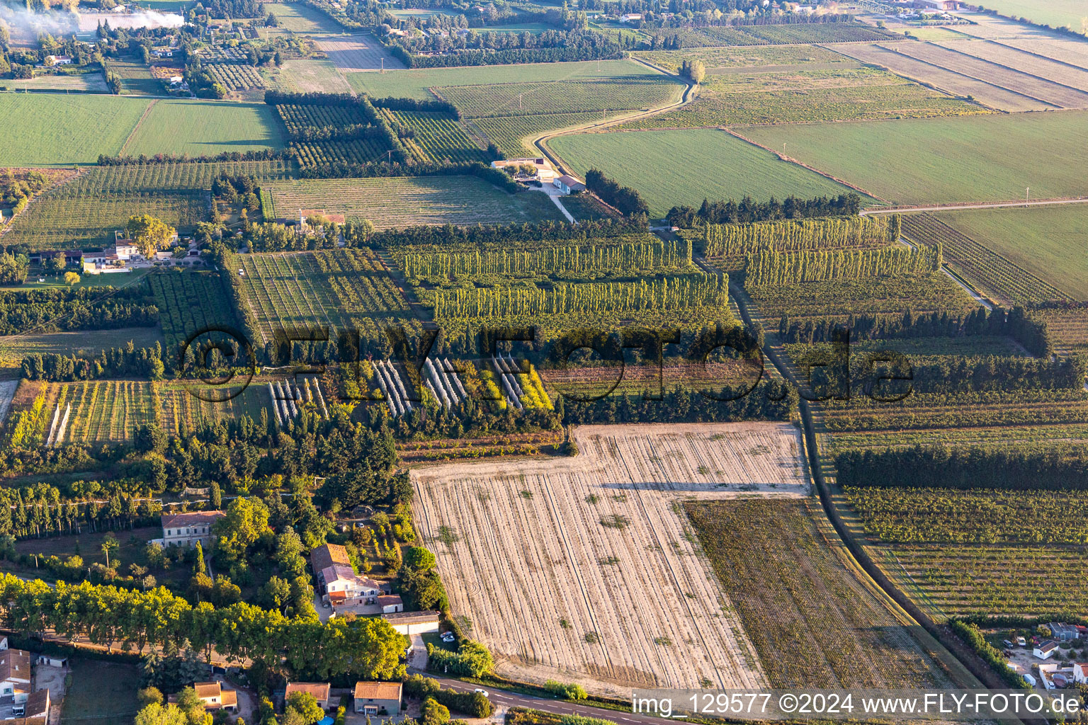 Wind-protected plantations in Tarascon in the state Bouches du Rhone, France