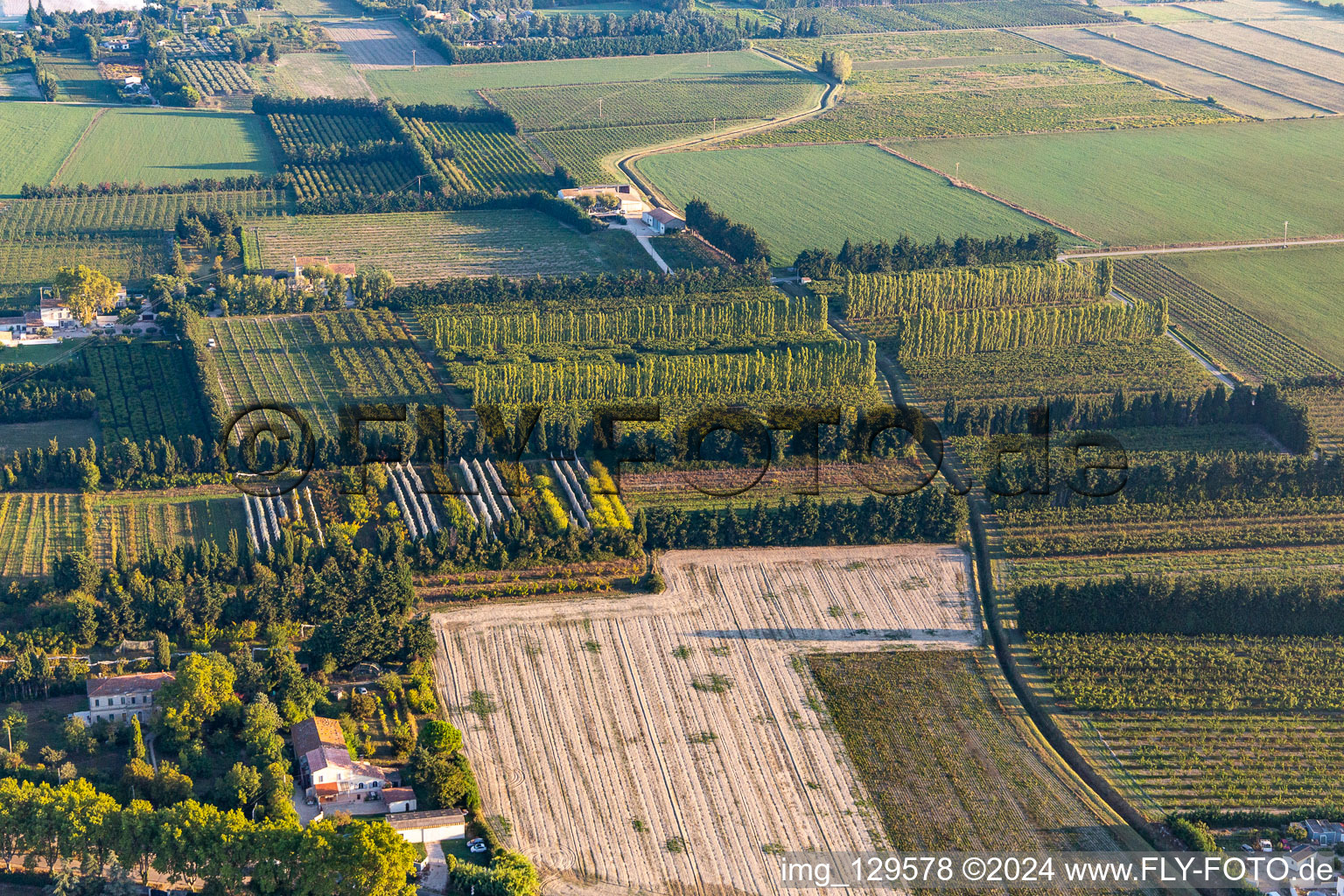 Aerial view of Wind-protected plantations in the district Zone Nord-Est Urbaine in Tarascon in the state Bouches du Rhone, France