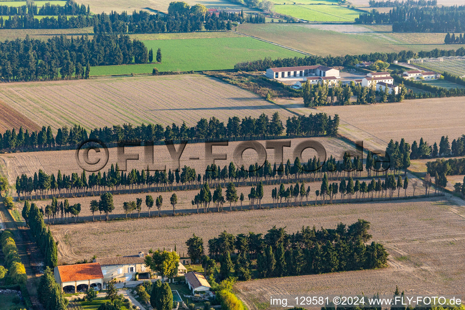 Row of trees to protect the fields from the mistral in Saint-Etienne-du-Gres in Provence-Alpes-Cote d'Azur, France